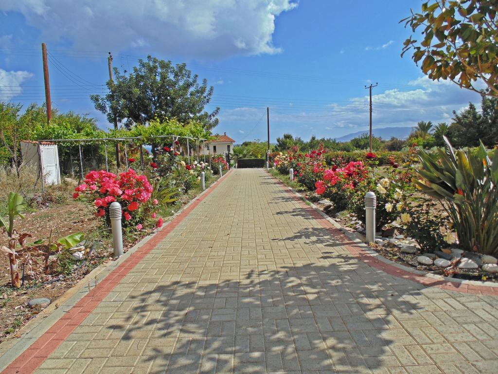 Eliofos Luxury Villa Polis ภายนอก รูปภาพ