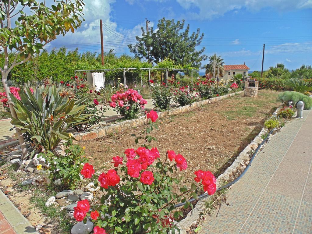 Eliofos Luxury Villa Polis ภายนอก รูปภาพ