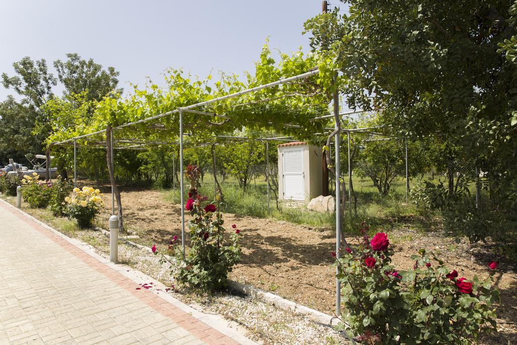 Eliofos Luxury Villa Polis ภายนอก รูปภาพ