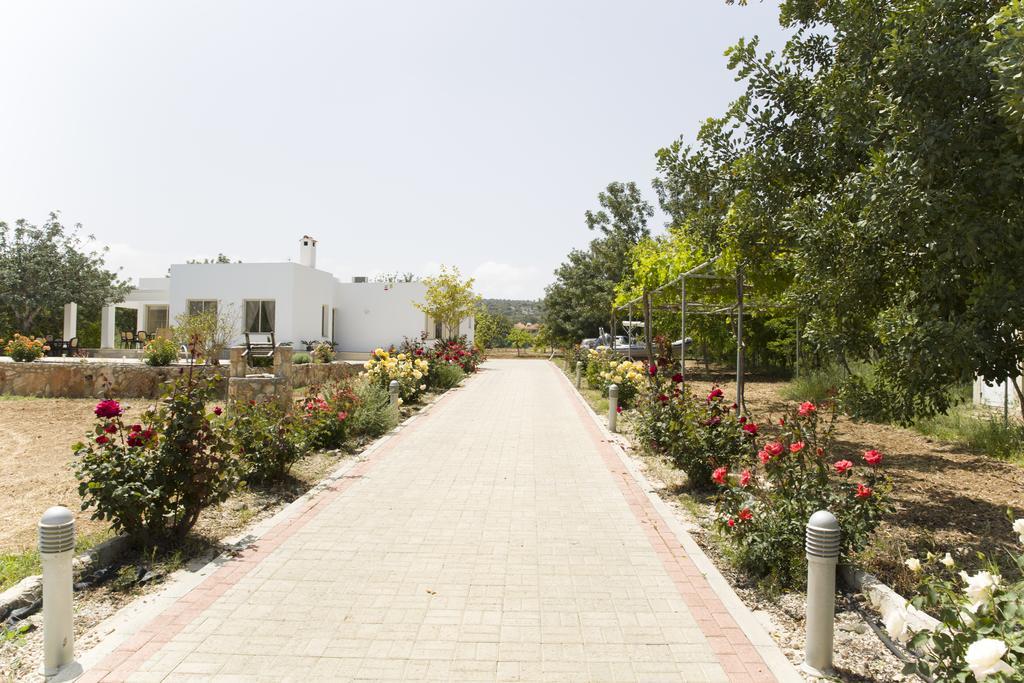 Eliofos Luxury Villa Polis ภายนอก รูปภาพ