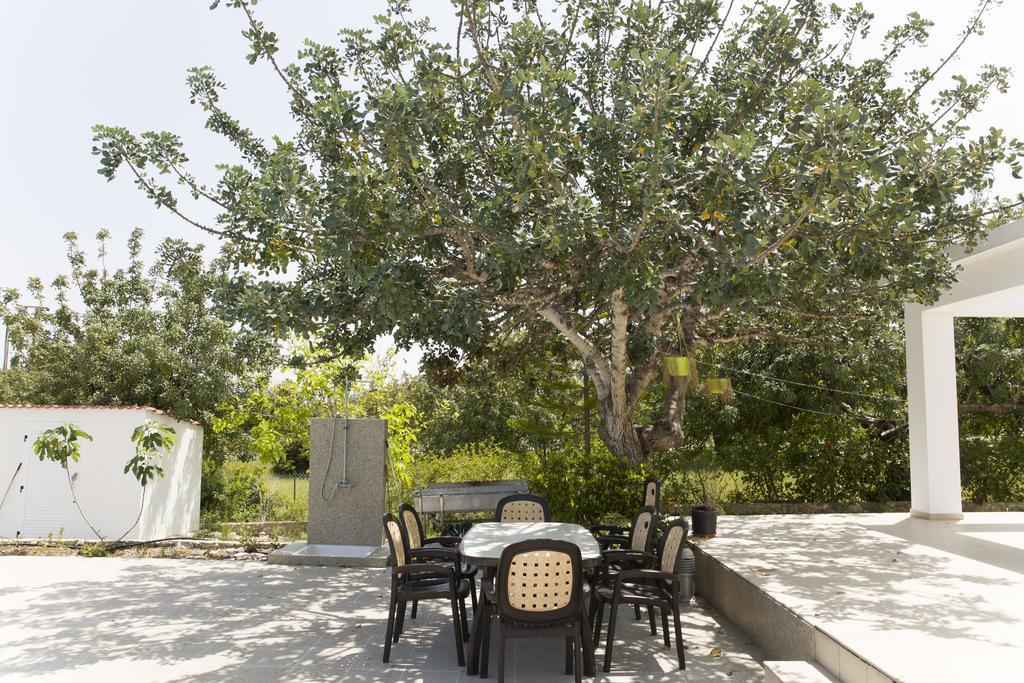 Eliofos Luxury Villa Polis ภายนอก รูปภาพ